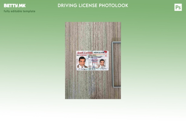 модерен стил САД Јужна Каролина DL photolook ПРЕДЕН шаблон